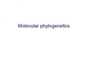 Molecular phylogenetics Molecular phylogenetics fundamentals All of life
