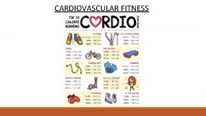 CARDIOVASCULAR FITNESS Types of Cardiovascular Exercise There many