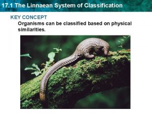 17 1 The Linnaean System of Classification KEY