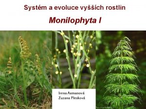 Systm a evoluce vych rostlin Monilophyta I Irena