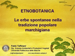 ETNOBOTANICA Le erbe spontanee nella tradizione popolare marchigiana