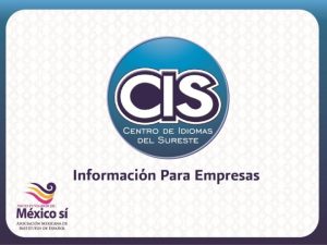 Cursos de Idiomas Los cursos de idiomas en