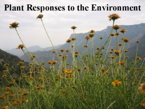 Plant Responses to the Environment Plants respond to