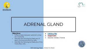 ADRENAL GLAND Objectives Differentiate between adrenal cortex and