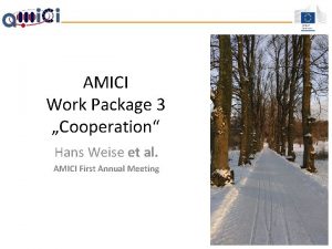 AMICI Work Package 3 Cooperation Hans Weise et