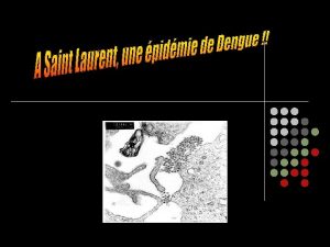 La dengue est une maladie infectieuse transmise par