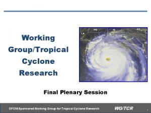 Working GroupTropical Cyclone Research Final Plenary Session OFCMSponsored