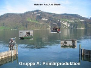 Halbritter Aud Urs Bitterlin Gruppe A Primrproduktion Methode