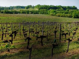 SaintEmilion Een vergelijking Jurade van SaintEmilion Exportgegevens Lussac