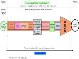 Monde extrieur Accompagnateur pdagogique Observer le comportement infraverbal