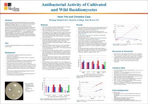 Antibacterial Activity of Cultivated and Wild Basidiomycetes Irene