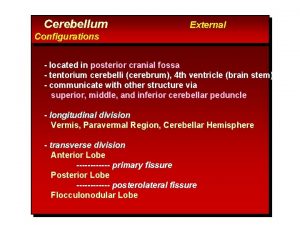 Cerebellum External Configurations located in posterior cranial fossa