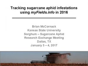 Tracking sugarcane aphid infestations using my Fields info