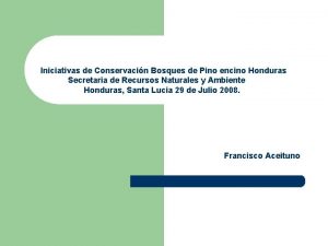 Iniciativas de Conservacin Bosques de Pino encino Honduras