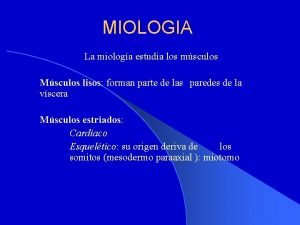 MIOLOGIA La miologa estudia los msculos Msculos lisos