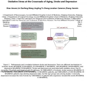 Oxidative Stress at the Crossroads of Aging Stroke
