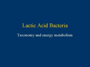 Lactic Acid Bacteria Taxonomy and energy metabolism LAB