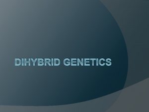 DIHYBRID GENETICS Dihybrid Cross Study of the inheritance