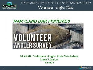 Volunteer Angler Data MARYLAND DNR FISHERIES Image or