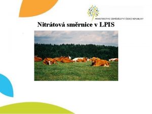 Nitrtov smrnice v LPIS Zobrazen informac NS v