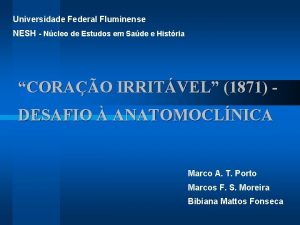 Universidade Federal Fluminense NESH Ncleo de Estudos em