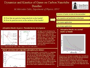 Dynamics and Kinetics of Gases on Carbon Nanotube