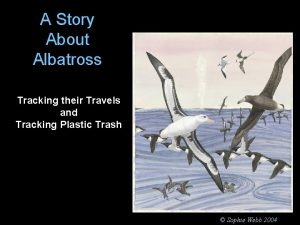 A Story About Albatross Tracking their Travels and