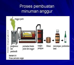 Proses pembuatan minuman anggur Beberapa jenis mikroba yang