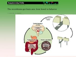 The ability of gut microbiota to communicate with