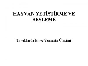 HAYVAN YETTRME VE BESLEME Tavuklarda Et ve Yumurta