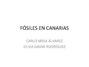 FSILES EN CANARIAS CARLO MESA LVAREZ SILVIA GASMI