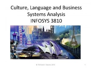 Culture Language and Business Systems Analysis INFOSYS 3810