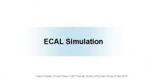 ECAL Simulation Patrick Robbe IJCLab Orsay LNF Frascati