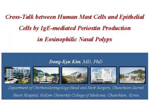 CrossTalk between Human Mast Cells and Epithelial Cells