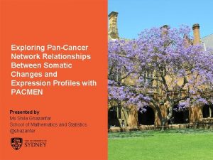 Exploring PanCancer Network Relationships Between Somatic Changes and
