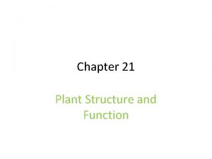 Chapter 21 Plant Structure and Function Section 1