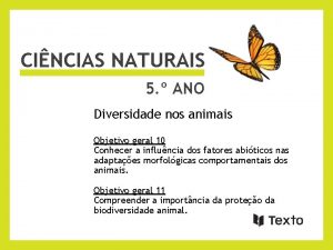 CINCIAS NATURAIS 5 ANO Diversidade nos animais Objetivo