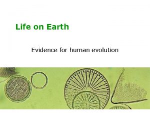 Life on Earth Evidence for human evolution Evidence