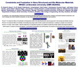 Constraints and Frustration in NanoStructured and BioMolecular Materials