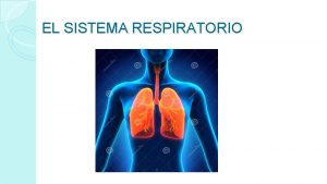 EL SISTEMA RESPIRATORIO Sistema respiratorio Un sistema es