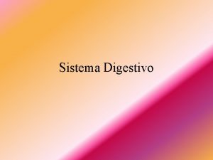 Sistema Digestivo Como constitudo o sistema digestivo do