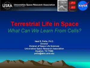 Terrestrial Life in Space What Can We Learn