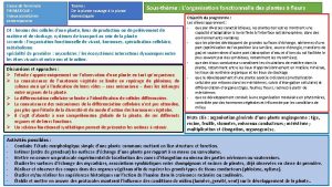 Classe de Terminale THEMATIQUE Enjeux plantaires contemporains Thme