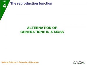 UNIT 4 The reproduction function ALTERNATION OF GENERATIONS