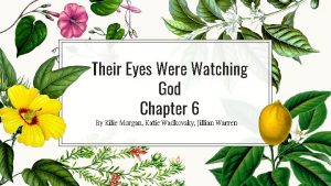 Their Eyes Were Watching God Chapter 6 By