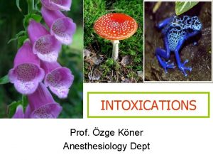 INTOXICATIONS Prof zge Kner Anesthesiology Dept Paracelsus 1493