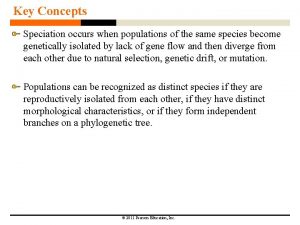 Key Concepts Speciation occurs when populations of the