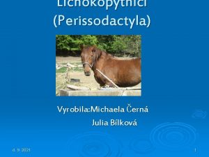 Lichokopytnci Perissodactyla Vyrobila Michaela ern Julia Blkov 4