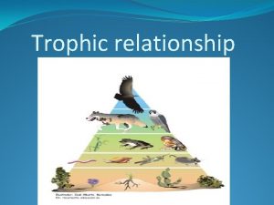 Trophic relationship 1 Trophic relationship are important connections