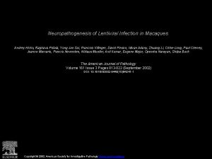 Neuropathogenesis of Lentiviral Infection in Macaques Andrey Hicks